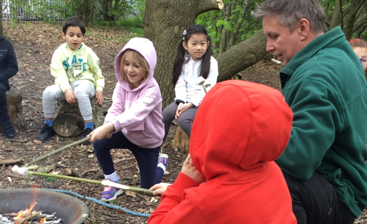 Image of Forest School Fun!
